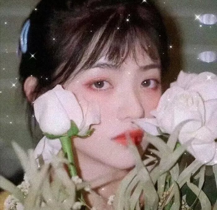 虎鲨在行动