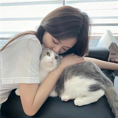 蜜月的阴谋